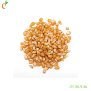 Sweet Corn Kernels 1kg | Naturally Sweet & Nutritious | Ready-to-Use