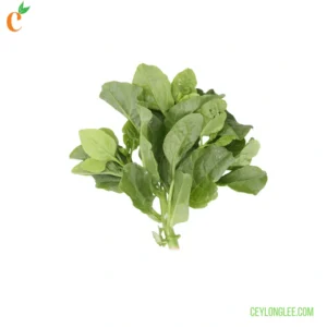 Fresh Spinach (Nivithi)