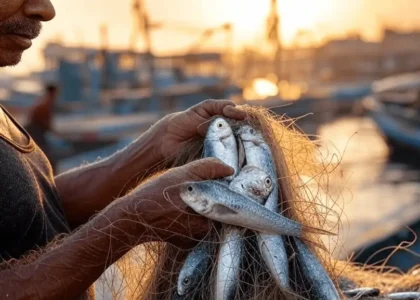 Fresh Seafood Online Sri Lanka | Ocean-to-Doorstep Delivery